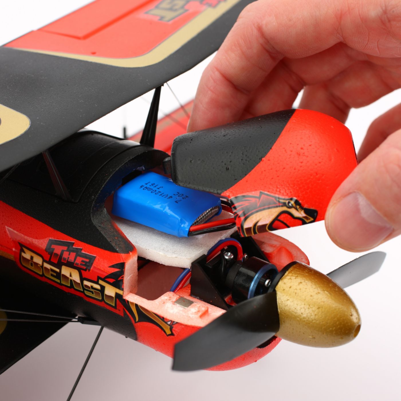 beast rc plane