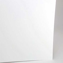 Evergreen 19100 Styrene Sheet Plain 12 x 24" .100" Pkg 2