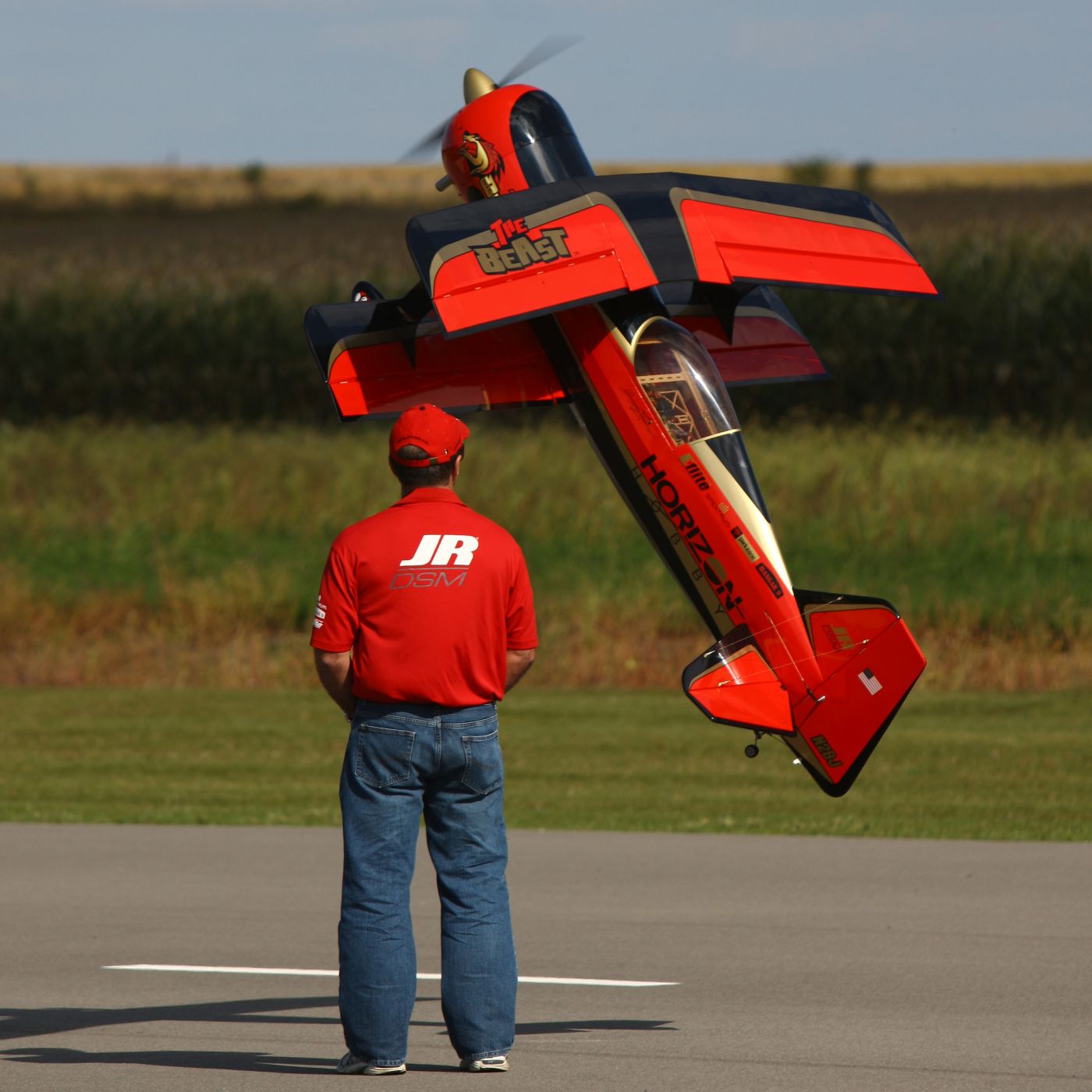 the beast rc plane