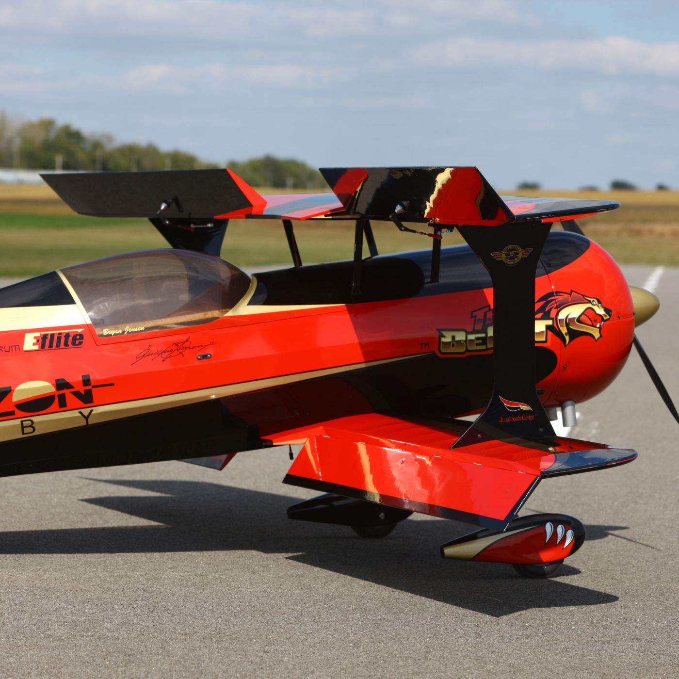 beast rc plane