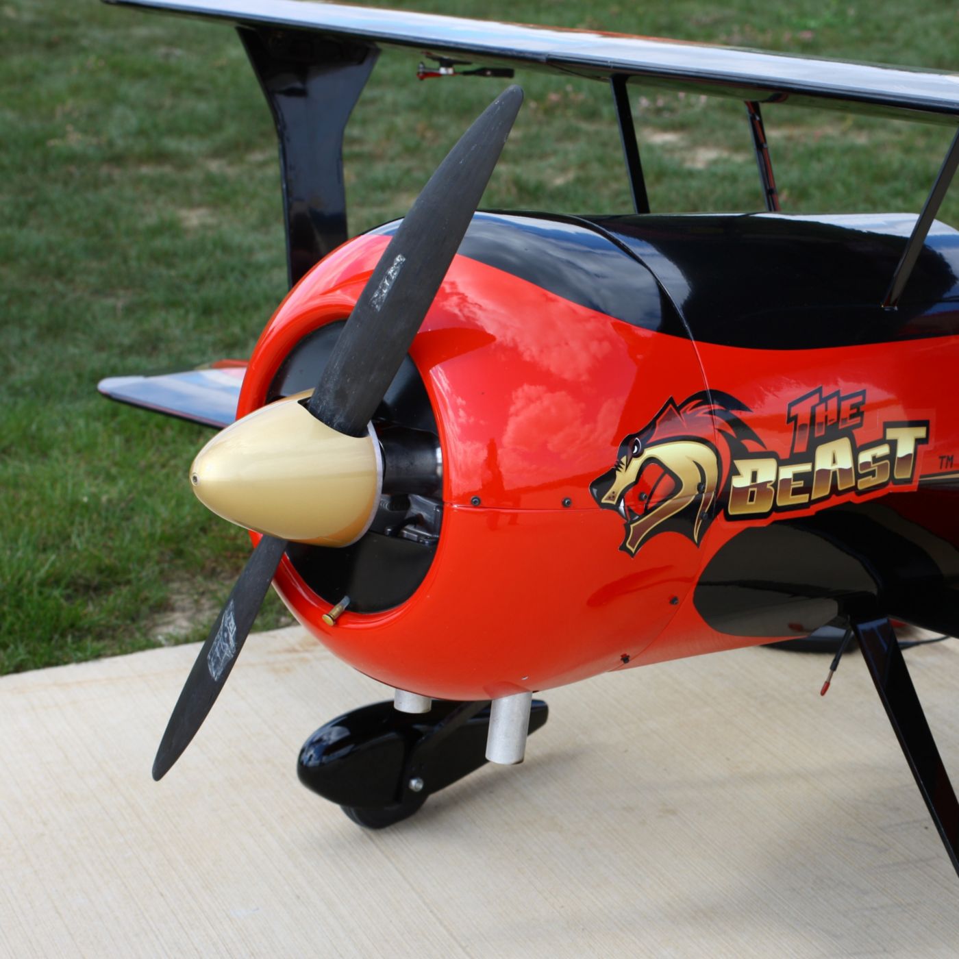 the beast rc plane