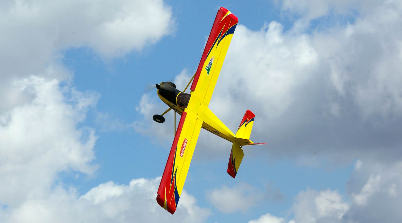 timber 110 rc plane