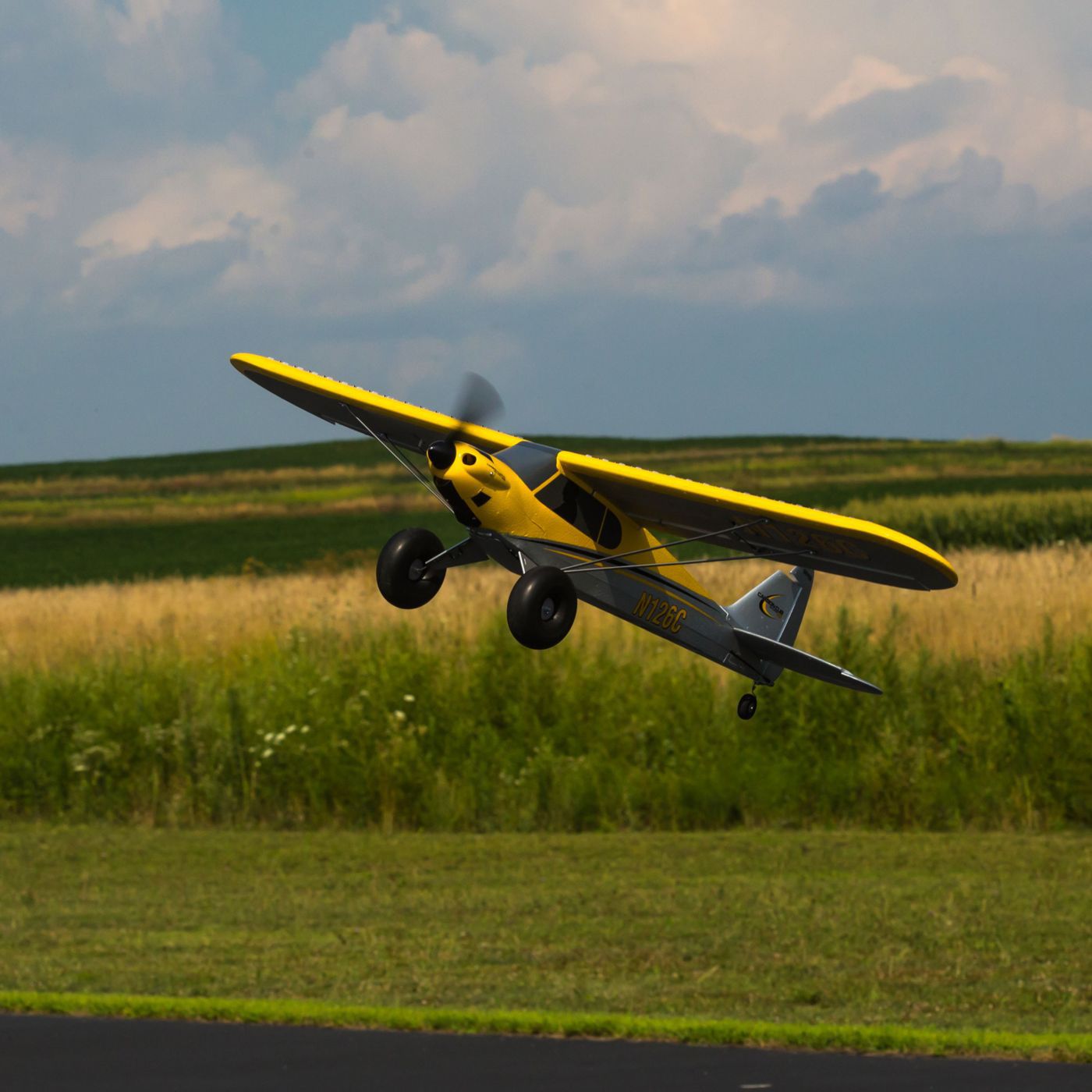 carbon cub s 