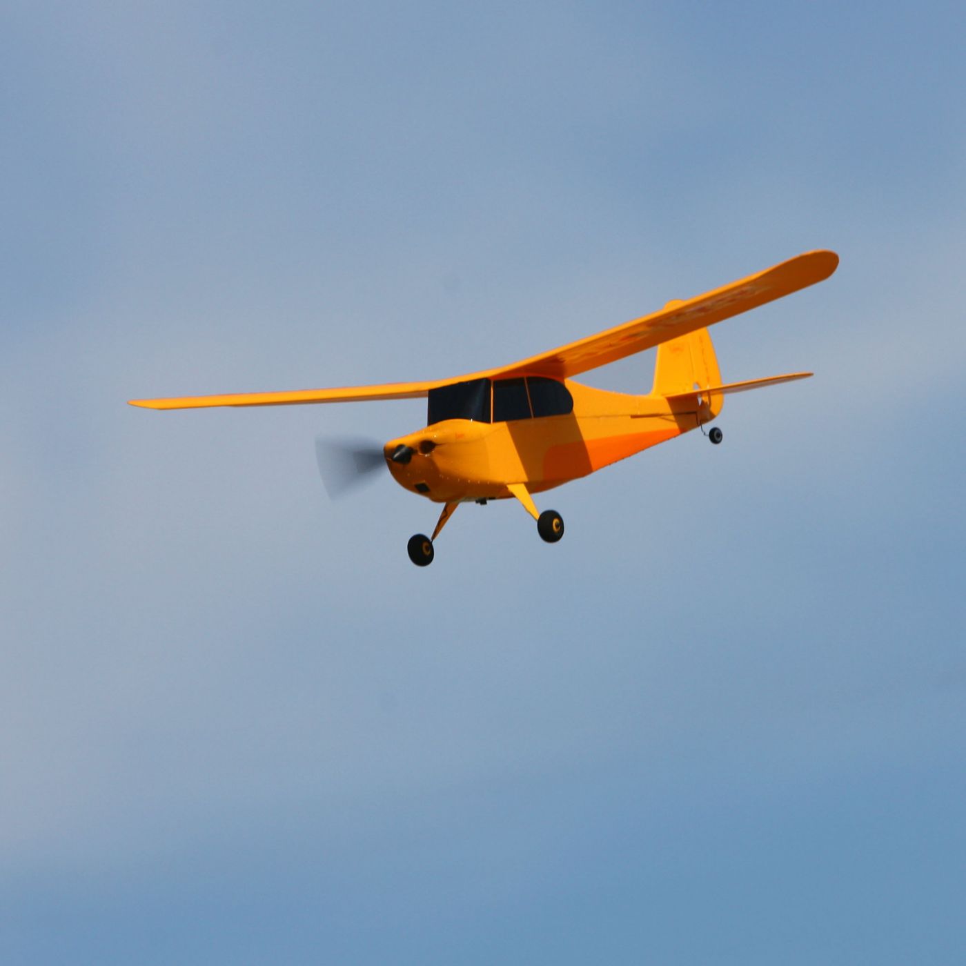 champ rtf rc plane