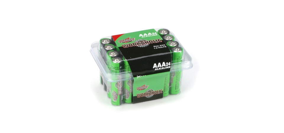 Interstate Batteries AAA Alkaline Batteries 24 IBSDRY0075