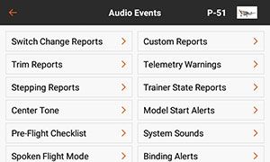 PROGRAMMABLE VOICE AND AUDIO ALERTS