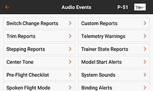 PROGRAMMABLE VOICE AND AUDIO ALERTS