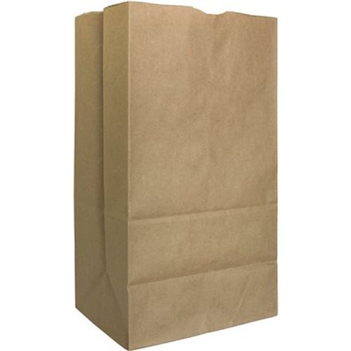 AJM Packaging SQ40NP5C Kraft Paper 20 lb. Grocery Bag - 500 / CS