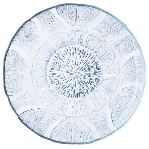 Arcoroc Fleur 5 1 2 Glass Plate 24 Cs Wasserstrom