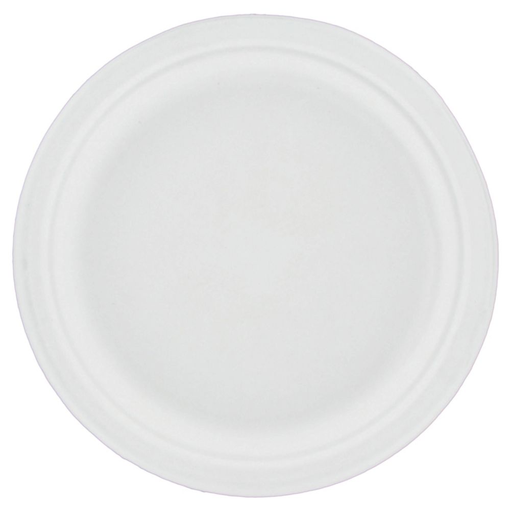 CLASSIC WHT PLATE 10.5" VENTURE - CHINET/PULP
