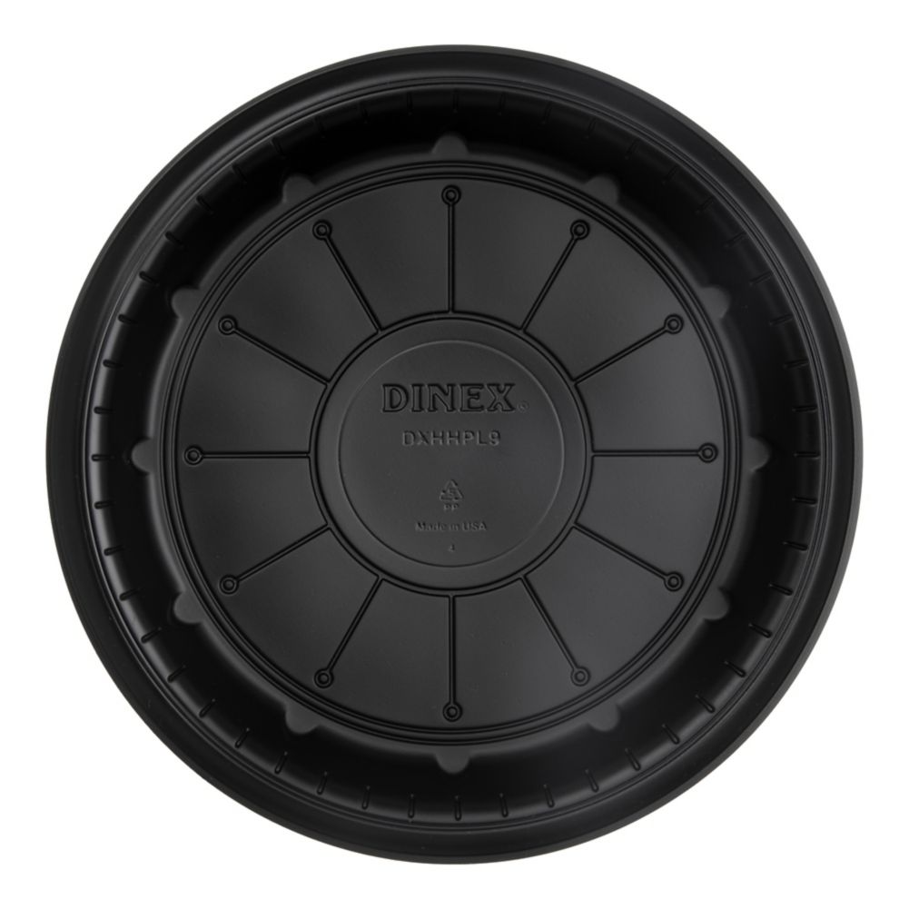 Dinex DXHHPL903 Black High Heat Round 9" Disposable Plate - 500 / CS