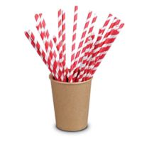 Eco-Friendly Disposables