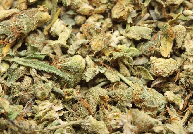 Everything You Need to Know About Decarboxylation and Cannabis