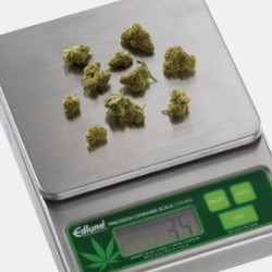 Lab Scales for Cannabis Manufacturers